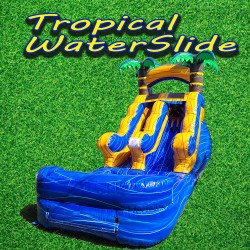 12 Tropical Water Slide